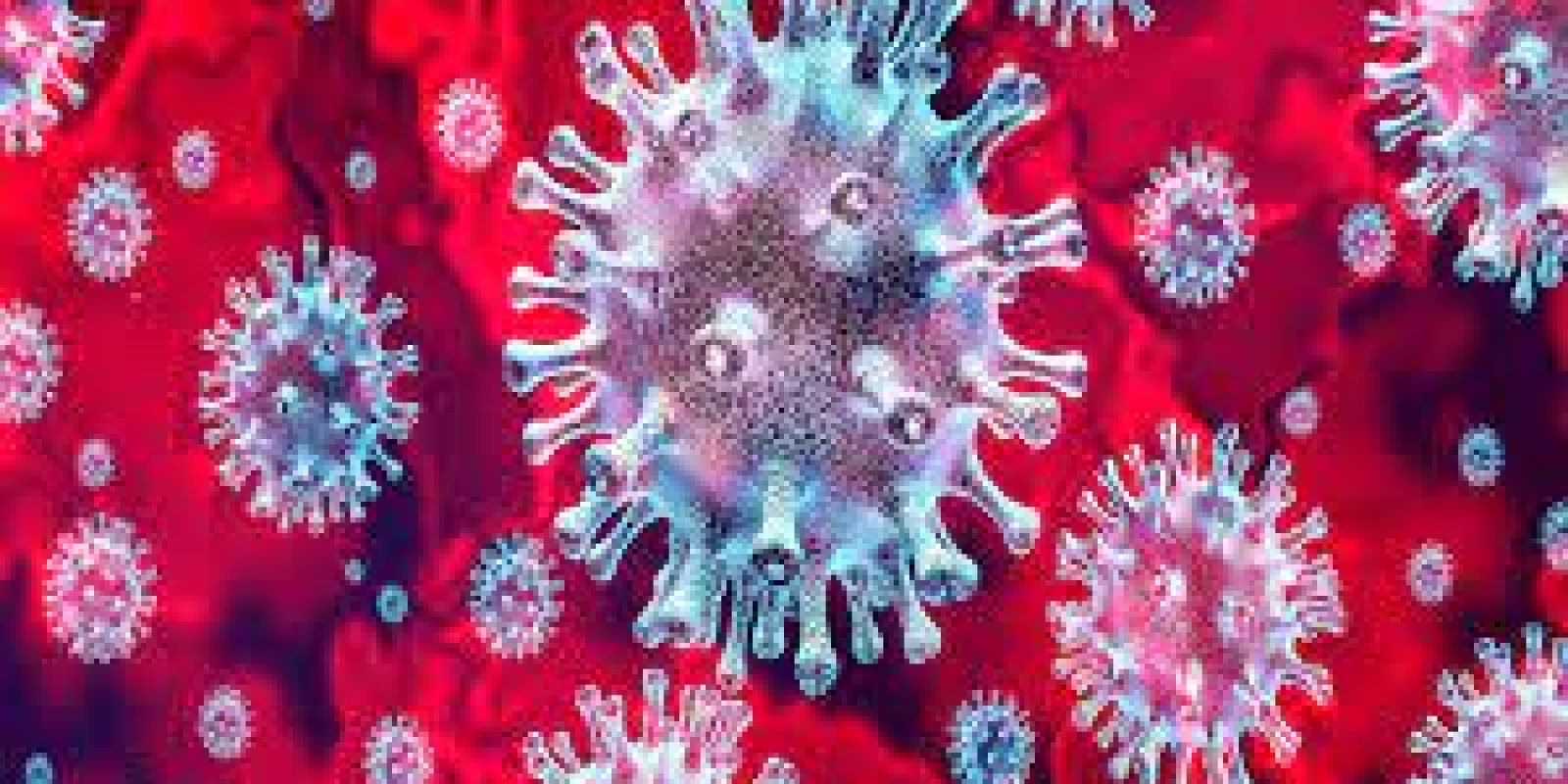 coronavirus pandemi